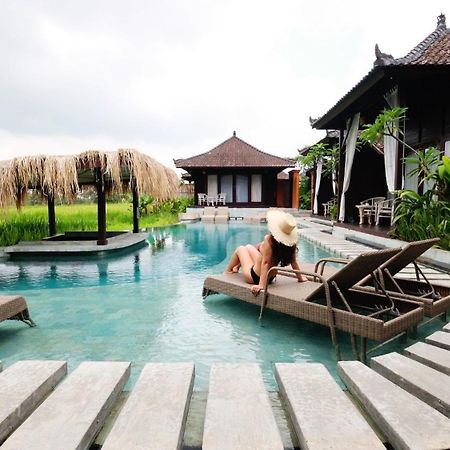 Kayangan Villa Ubud Tegallalang  Kültér fotó