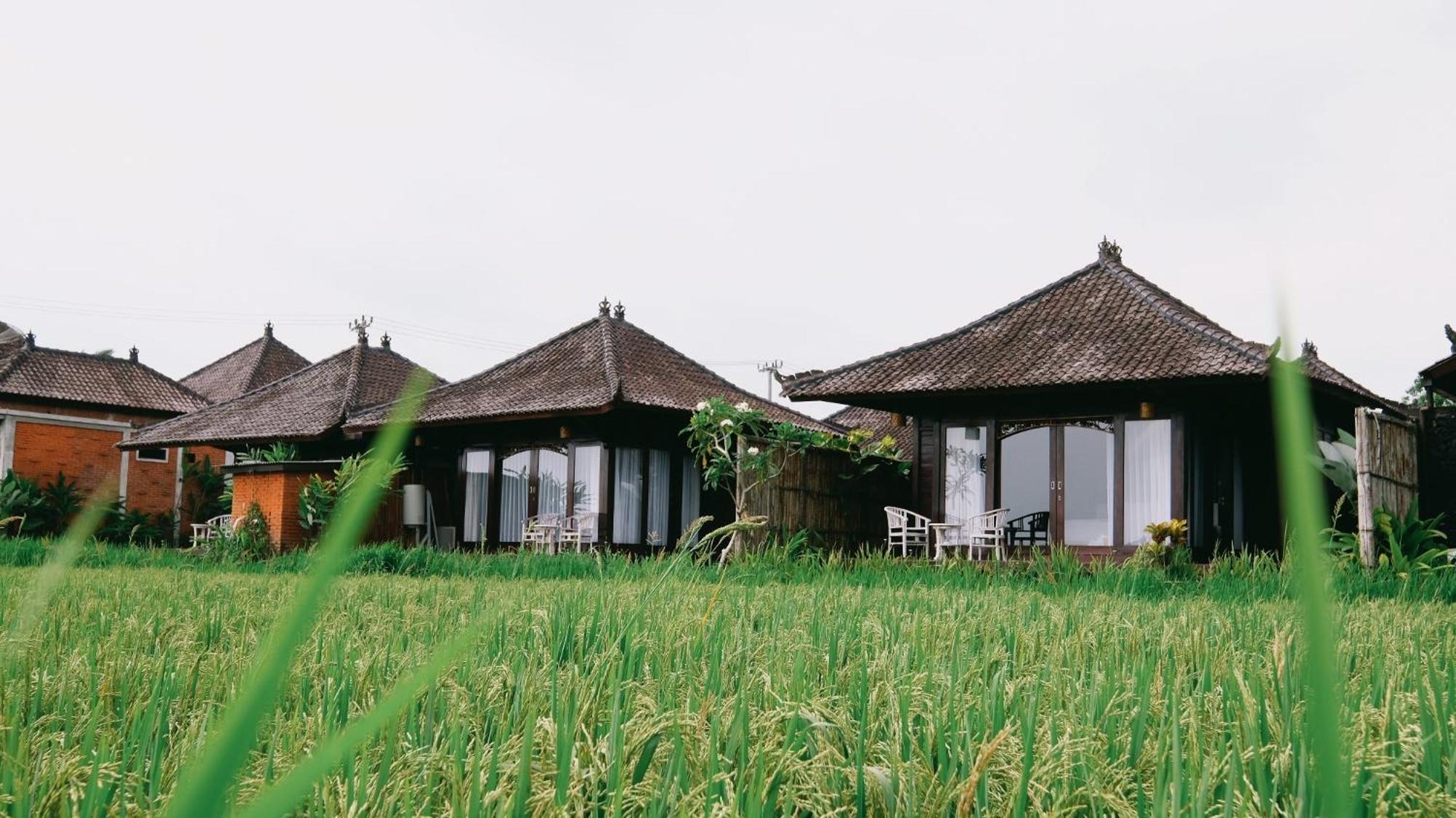 Kayangan Villa Ubud Tegallalang  Kültér fotó